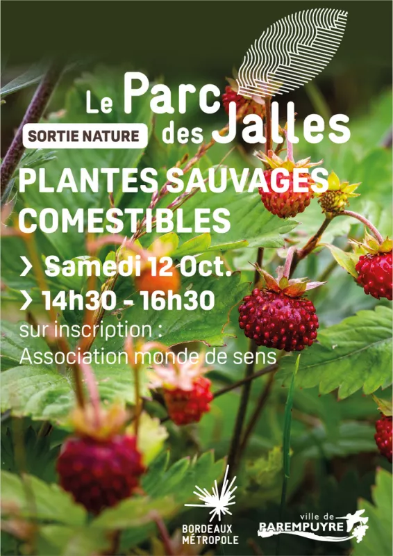 [ SORTIE NATURE ] – Plantes Sauvages Comestibles