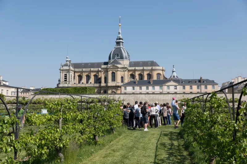 Journées Européennes du Patrimoine-Potager du Roi