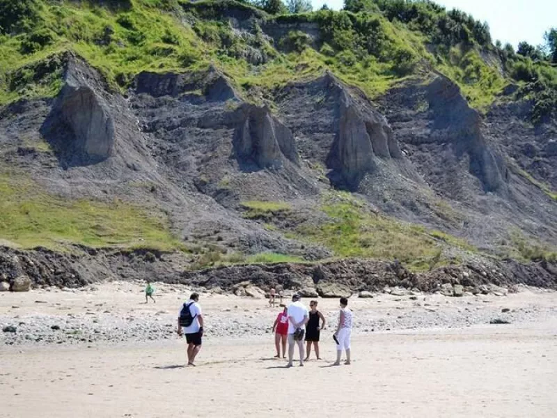 Visite Guidée : les Falaises des Vaches Noires