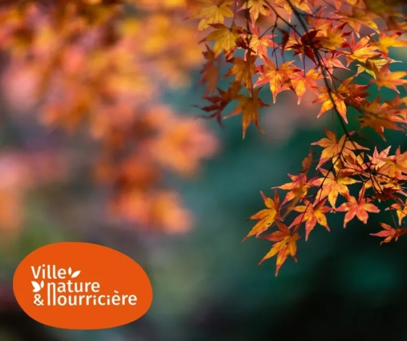 Quelle Nature en Automne