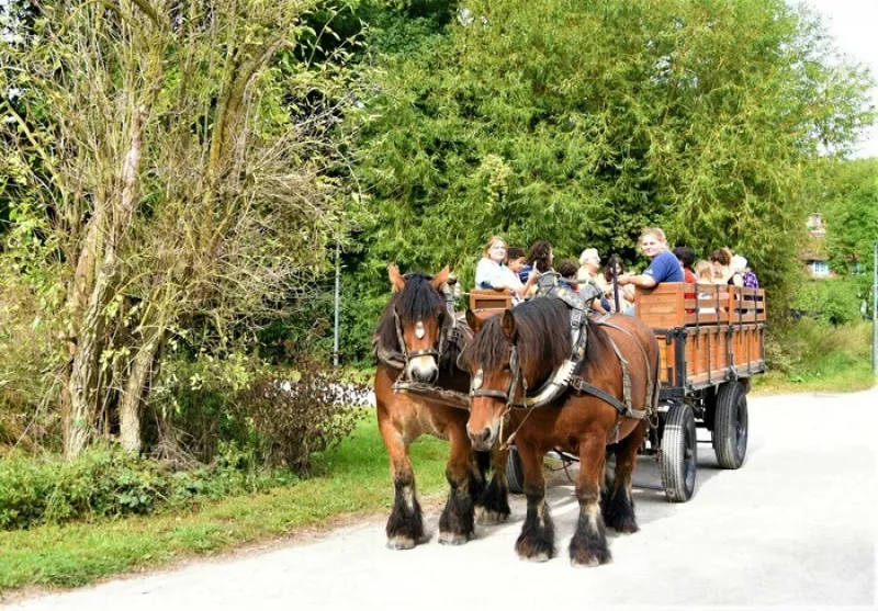 Balades en Calèche