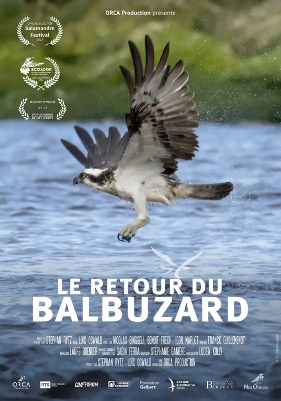 Le Retour du Balbuzard Pêcheur