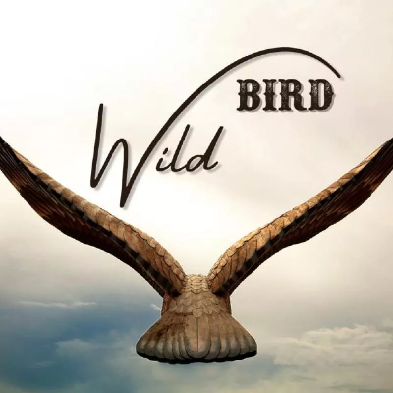 Wild Bird Chanson Anglophone