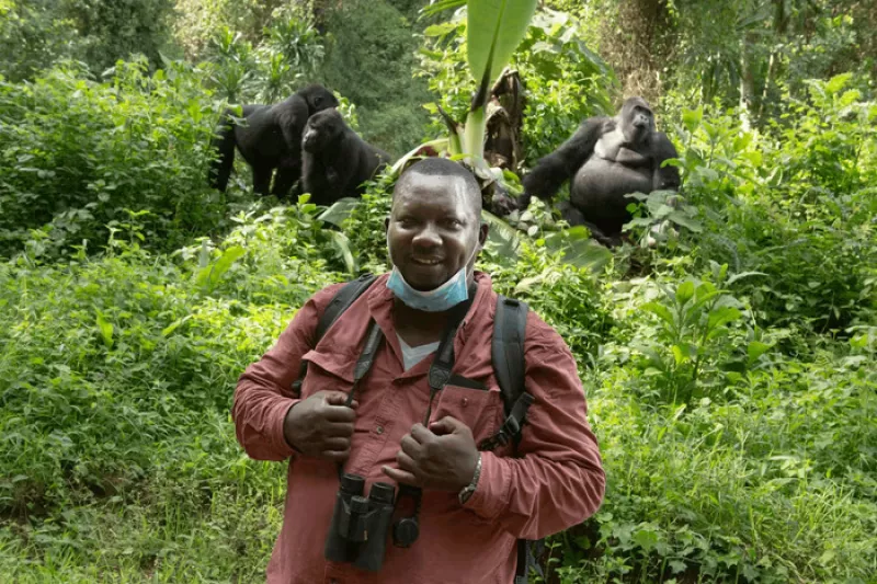 Gorille en Danger, L’action de Terrain au Service de Sa Conservation