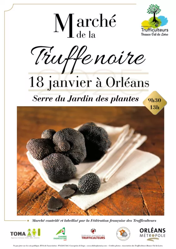 Marché de la Truffe Noire Mélanosporum