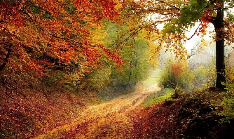 Balade Sensorielle d'Automne