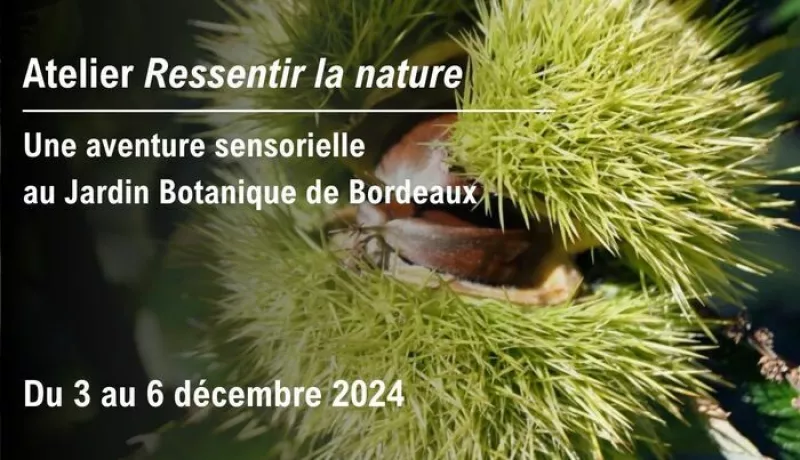 Atelier Sensoriel-Ressentir la Nature