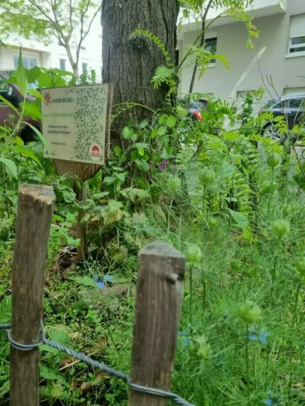 Festival Curieux Détours – Grandclément : Balade entre Biodiversité et Patrimoine