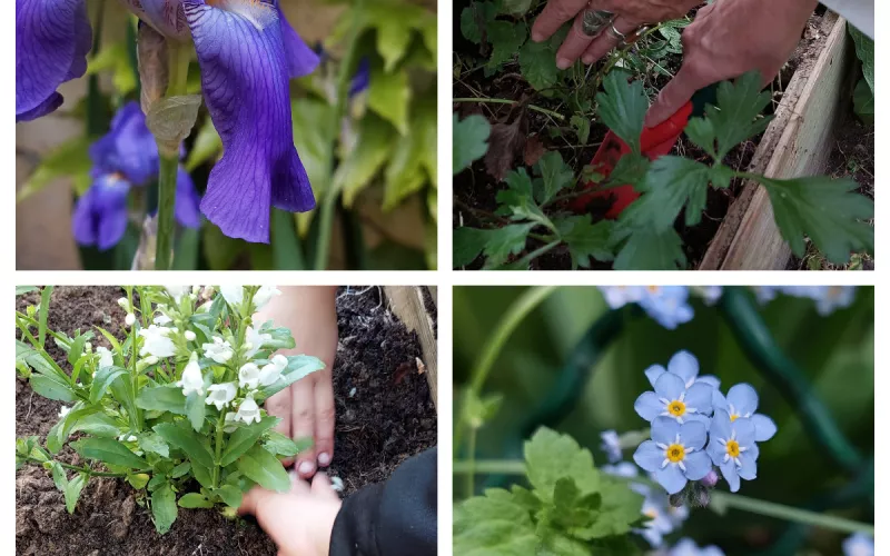 Le Jardin Se Fait une Beauté