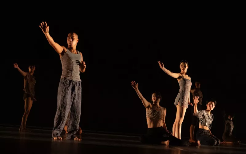 « Jungle »   : Spectacle de la Korea National Contemporary Dance Company