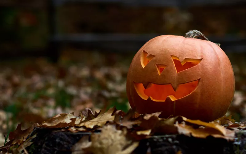 Journée D'halloween à la Piscine Thérèse et Jeanne Brûlé