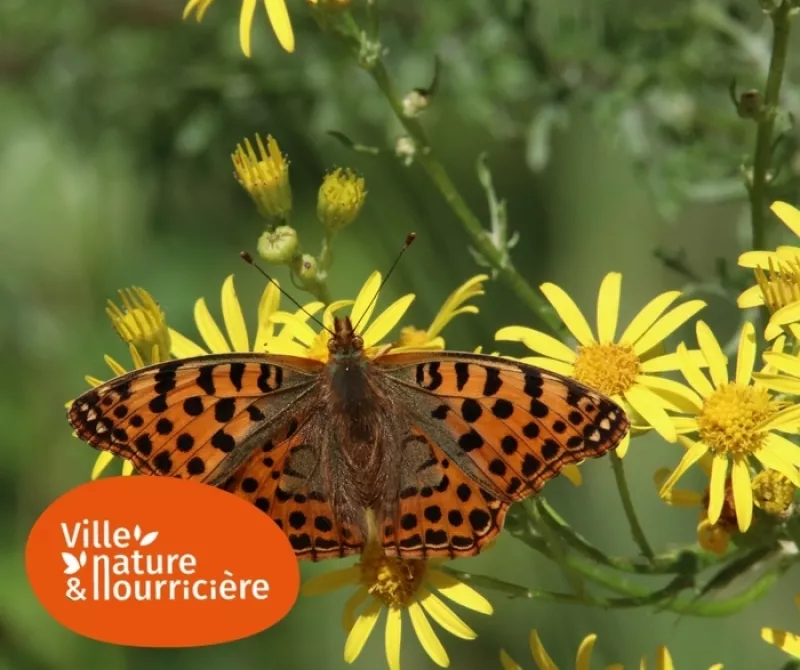 Annulé-Fresque de la Biodiversité