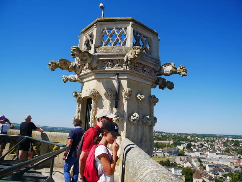 Visite Guidée : Tour de la Cathédrale