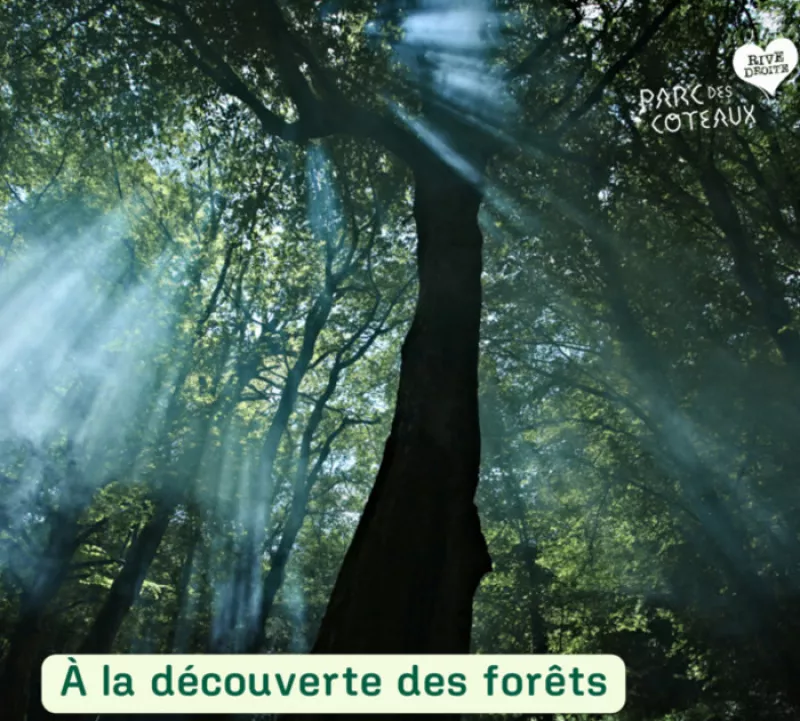 A la Découverte des Forêts-Complet -