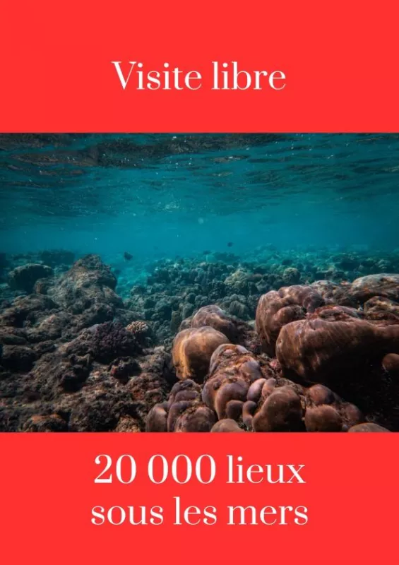 Visite Libre : 20 000 Lieux Sous les Mers