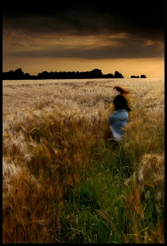 Exposition de Photographies Inspirées de Madame Bovary