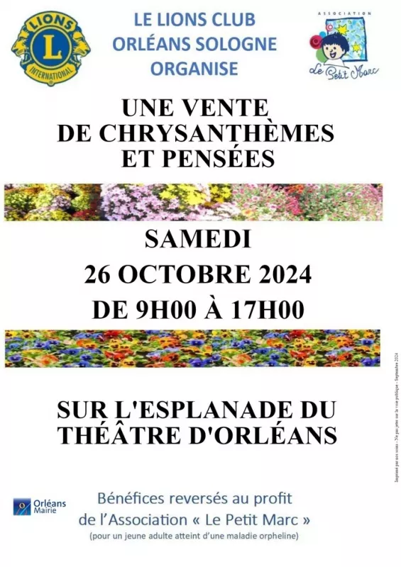 Vente de Chrysanthèmes et de Pensées