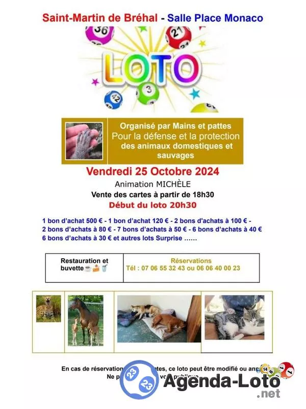 Loto