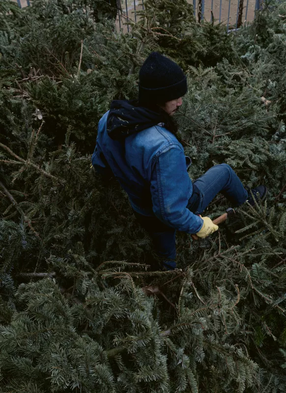 Visite-Atelier : l'Arbre de Noël sur Toutes Ses Formes