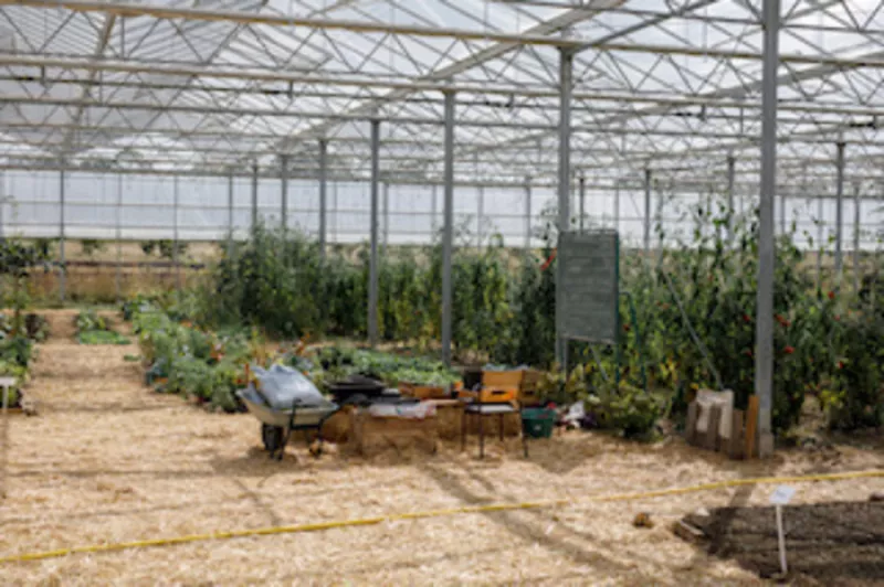 Chantier Participatif : Préparation des Planches de Cultures