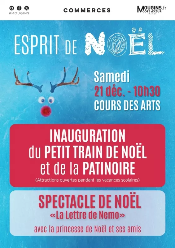 Spectacle de Noël