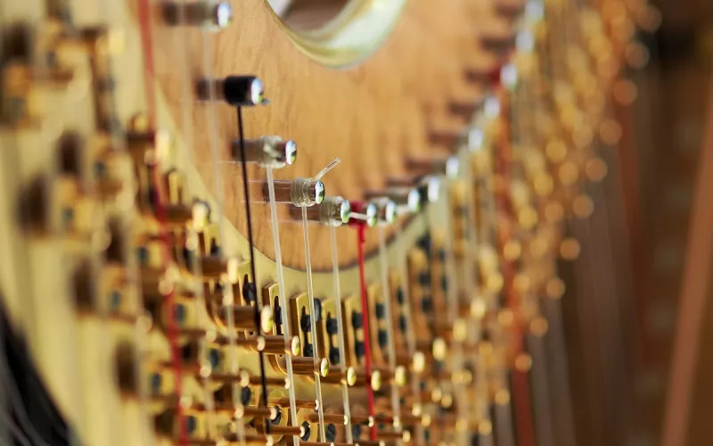 Concert de Harpe par les Élèves du Conservatoire Mozart