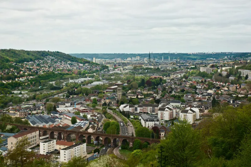 Annulation/Forêt et Paysages