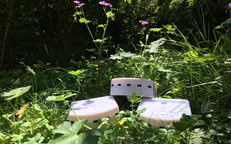 Quand les Robots s'Inspirent de la Biodiversité