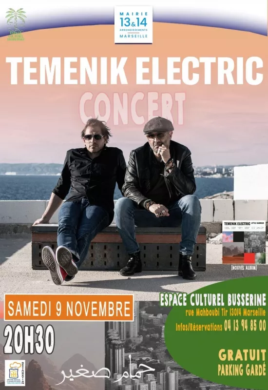 Concert Temenik Electric