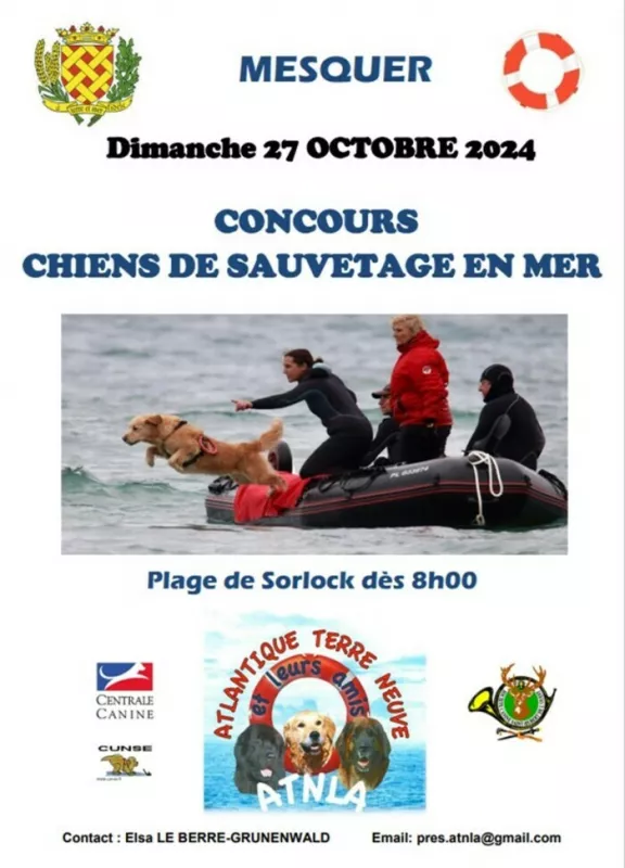 Concours de Chiens de Sauvetages en Mer