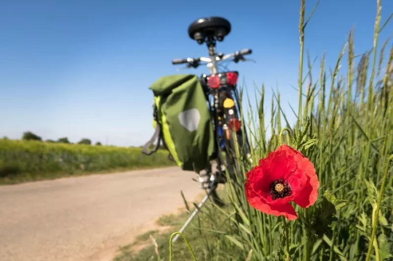 Balades Découvertes du Territoire à Vélo