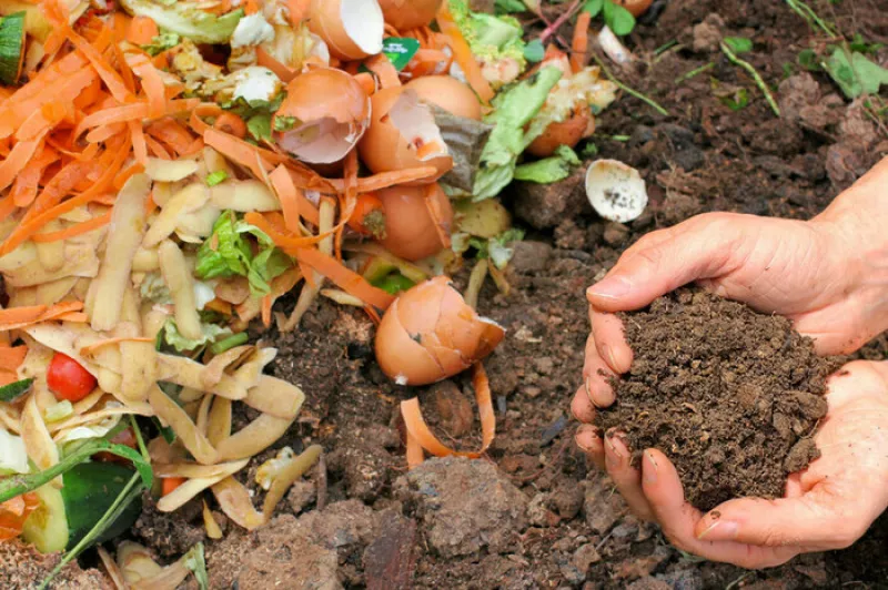 Cafés-Compost