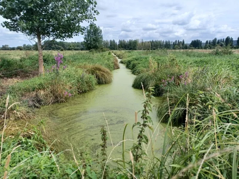 Circuit : Découverte du Marais Communal