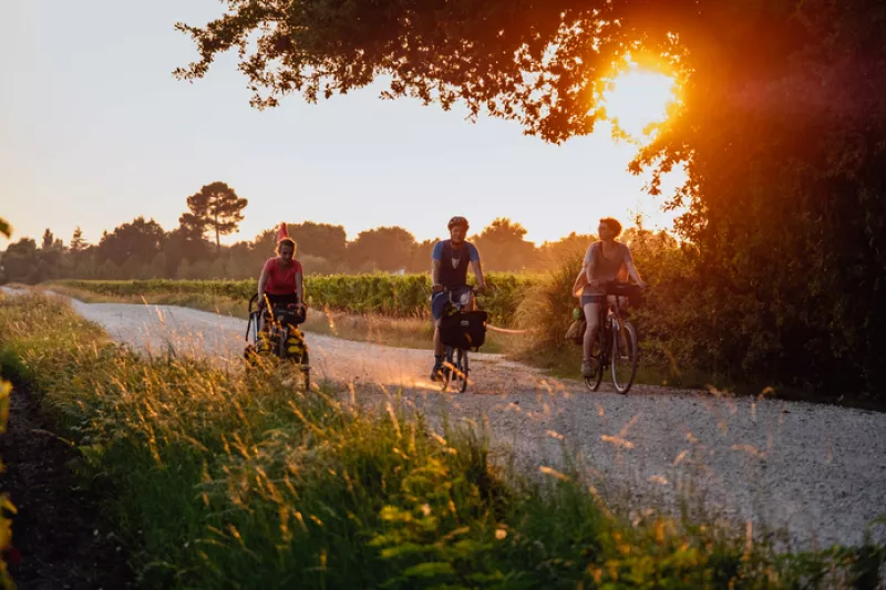 Excursions dans le Vignoble Bordelais