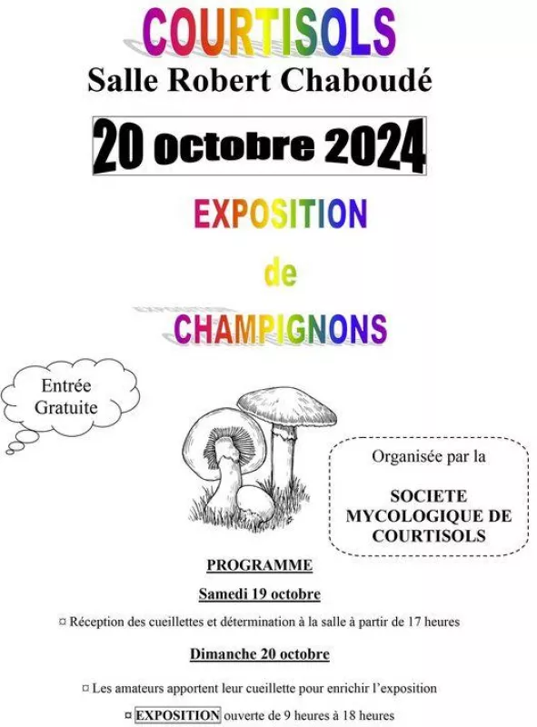 Exposition de Champignons