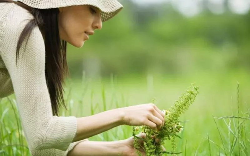 Stage « Mon Baptême Sauvage » au Bois de Vincennes