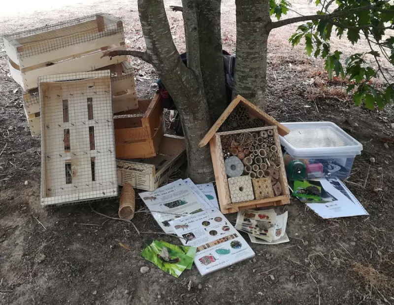 Fabrique un Abri à Insectes