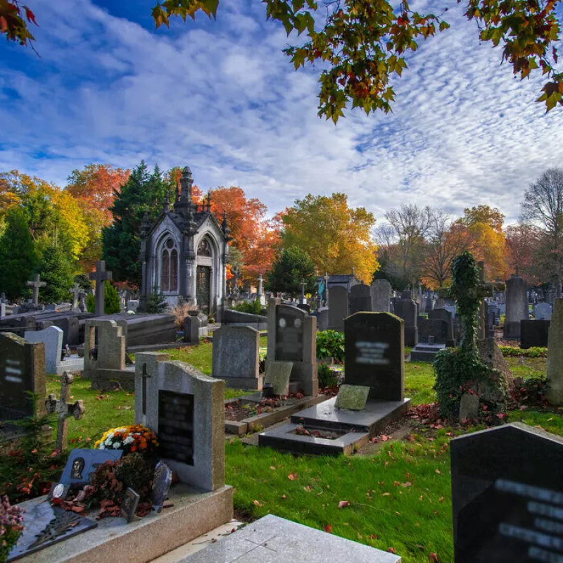 *Complet* le Cimetière de l'Est