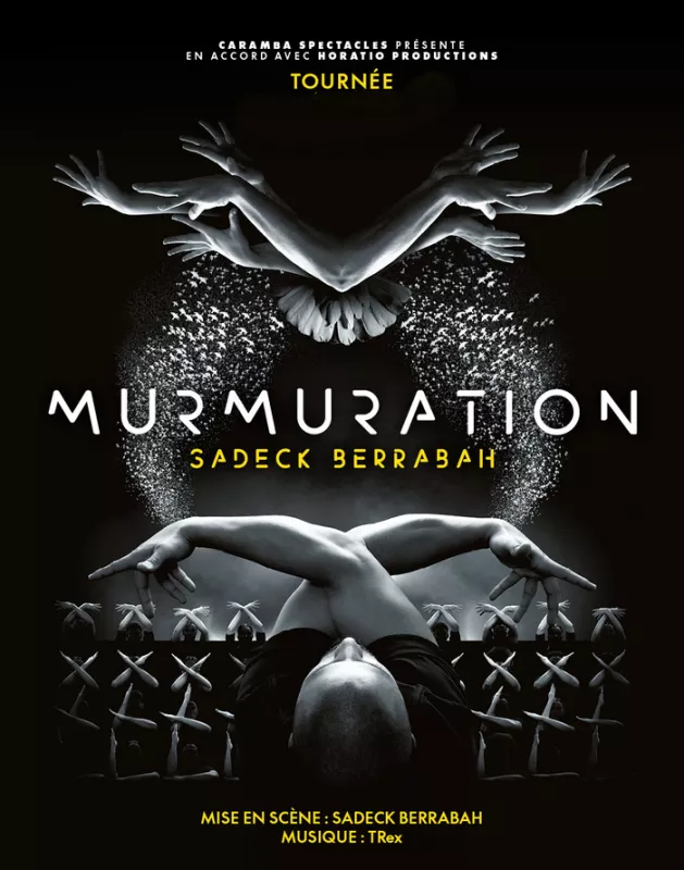 Murmuration