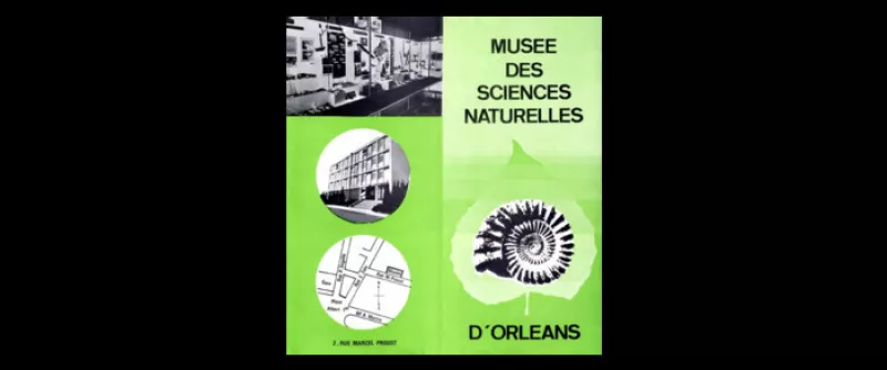 Petite Histoire des Musées à Travers la Ville