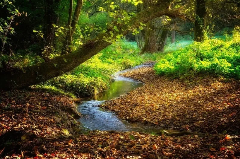 Sortie Pédestre au Fil de l'Eau : les Mystères de Ran Coët