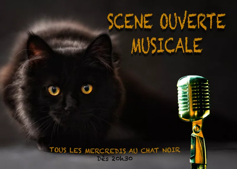 Scene Ouverte Musicale