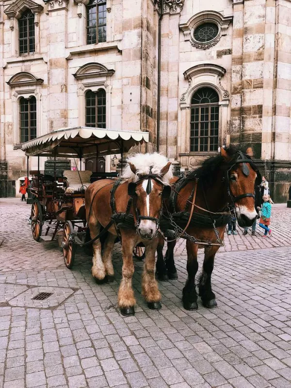 Tours en Calèche : en Avant la Musique 