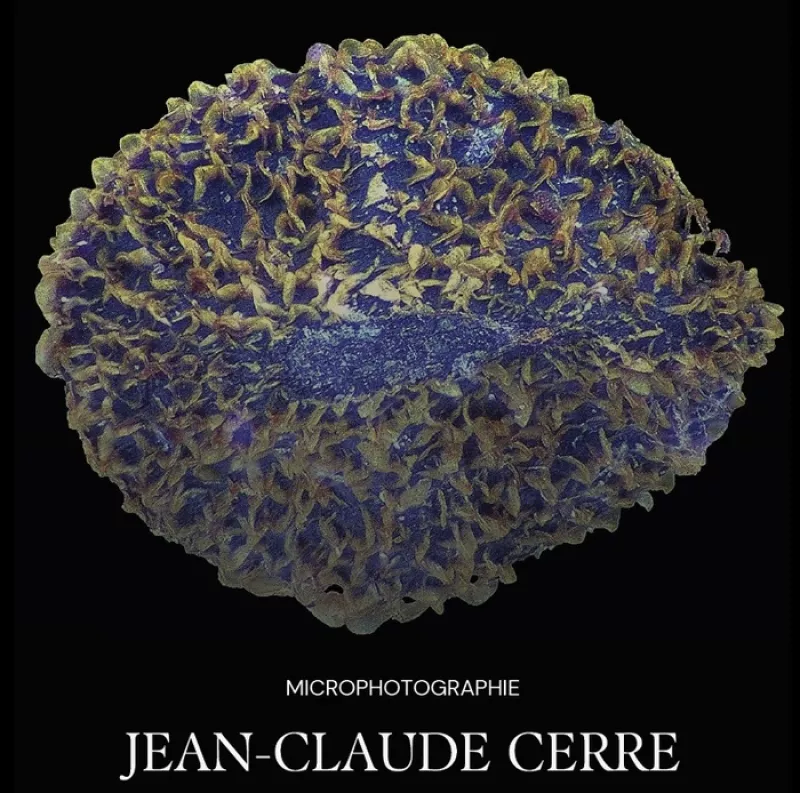 Microphotographie-Jean-Claude Cerre