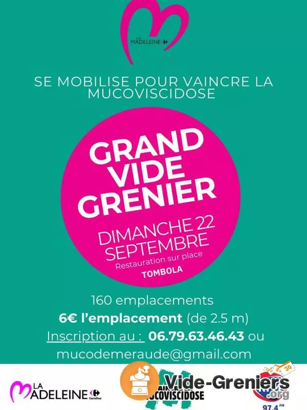 Vide Grenier Parking Centre Commercial Carrefour