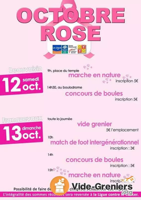 Annuler Cause de Mauvais Temps-Vide Grenier Octobre Rose -