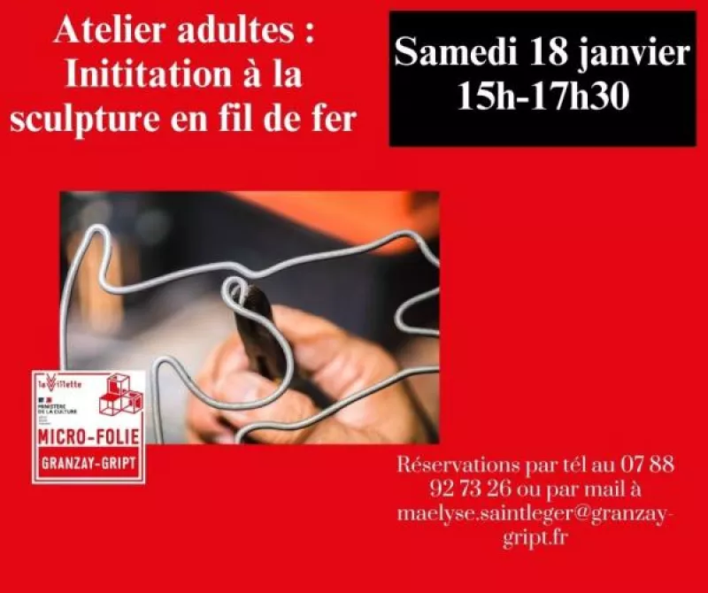 Atelier Adultes : Initiation à la Sculpture en Fil