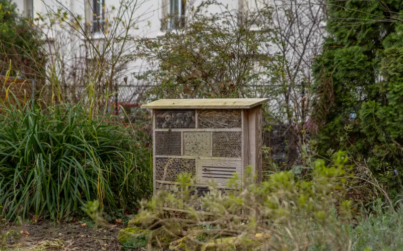 Aménager un Refuge pour les Insectes