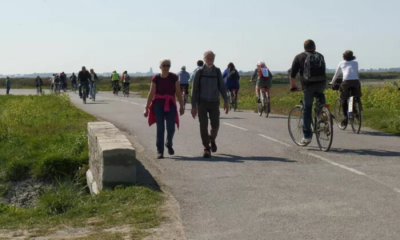 Journée Douce dans les Marais Salants