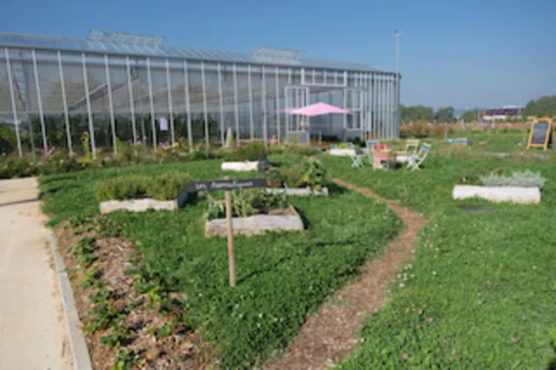 Atelier Bouturage de Plantes Aromatiques et Fraisiers